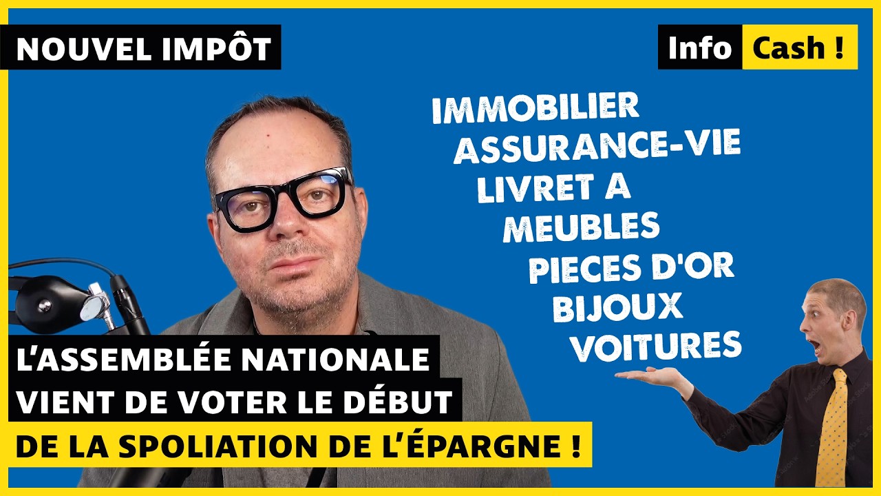 Ils ont osé voter « l'impôt sur tout » : immobilier, assurance-vie, or, meubles, voitures, cryptos…