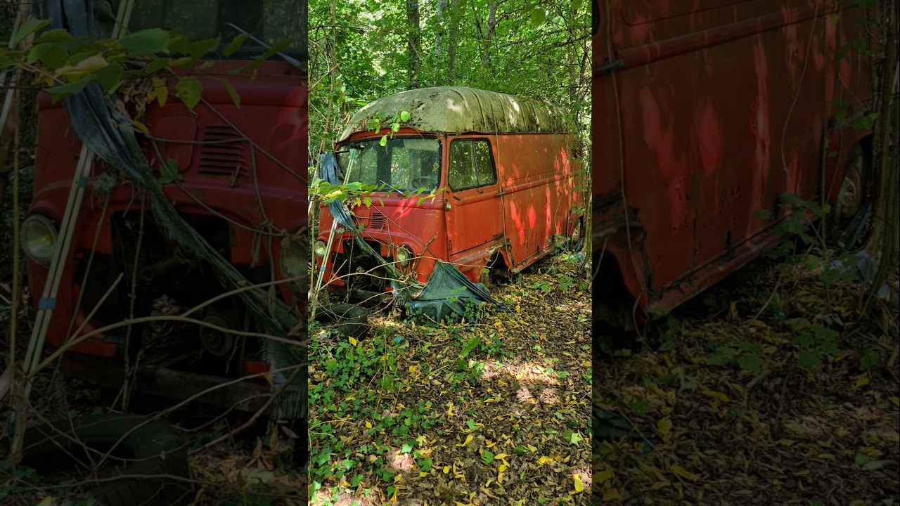 Renault estafette #shortvideo #automobile #mechanic #abandoned #renault