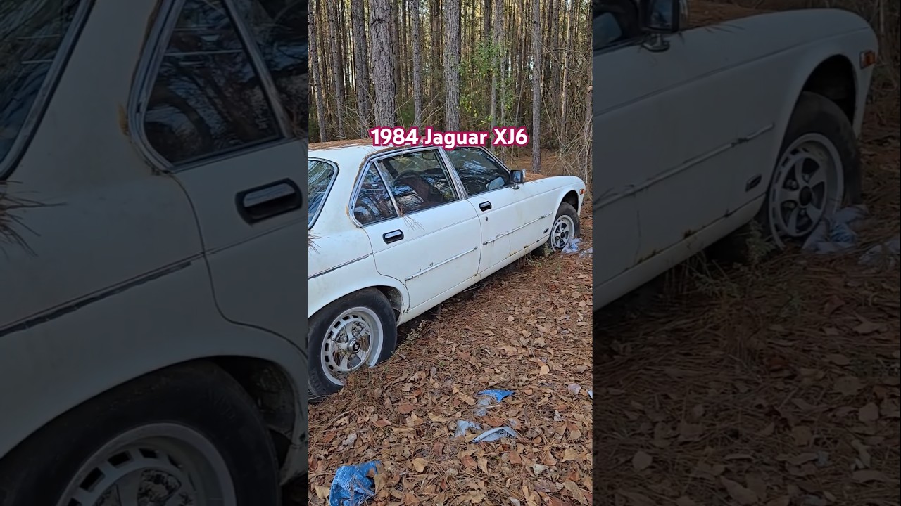 😦..1984 Jaguar XJ6..Restore it or Sell it? #jaguar #xjs #automobile #restoration
