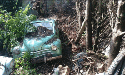 participez à la vente aux enchères exceptionnelle dans la grange le 4 novembre : objets rares, antiquités et bonnes affaires vous attendent ! ne manquez pas cet événement unique.