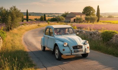 découvrez l'histoire fascinante de la diane voiture, ses caractéristiques uniques et nos conseils d'achat incontournables pour 2025. préparez votre achat en toute sérénité !