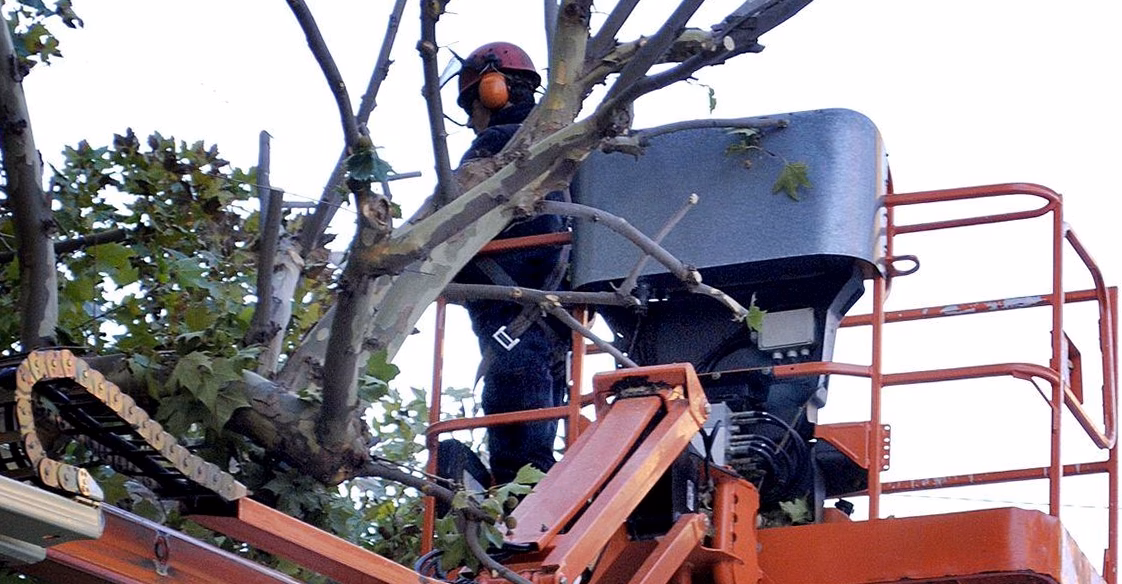 Latil forestier : le tracteur des travaux impossibles