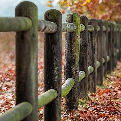 Wooden fence with autumn leaves on ground